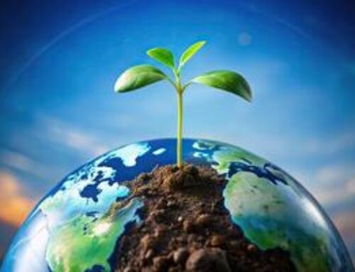 Harnessing the Power of ESG for Business Growth