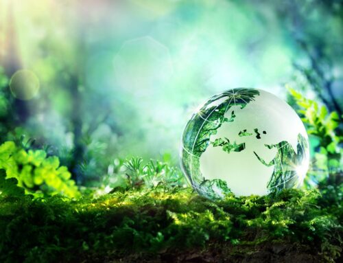 Driving Corporate Success Through ESG